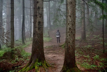 Ängste oder Phobien
